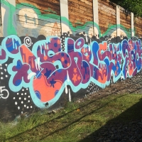 Shels_HMNI_Graffiti_Spraydaily_Seattle_USA_06