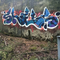 Shels_HMNI_Graffiti_Spraydaily_Seattle_USA_09