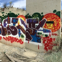 Shels_HMNI_Graffiti_Spraydaily_Seattle_USA_11
