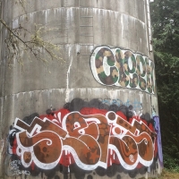 Shels_HMNI_Graffiti_Spraydaily_Seattle_USA_16