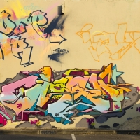 Twesh_HA_3A_UPS_HMNI_Graffiti_Spraydaily_18