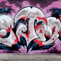 Vejam_CI_HMNI_SPraydaily_Florianopolis_Brasil_Graffiti_17