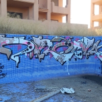 Z.Rock_AGLC_VDS_Graffiti_HMNI_Madrid_Spraydaily_12