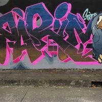 Zarim_LKS_RUA_Chiangmai-thailand_graffiti_spraydaily_11