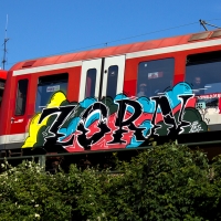 Zorn_BK-Crew_Hamburg_Graffiti_Spraydaily_04