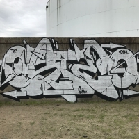 Osteo_TF_DBM_DOA_FHC_Rhode-island_HMNI_graffiti_spraydaily_11