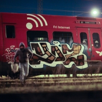 Mens-Du-Sov_Book_Graffiti_Spraydaily_Yos, FYS, FY_12.jpg
