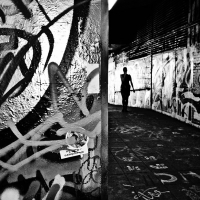 little_wing_lost_graffiti_stalking