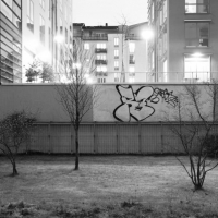 rask_graffiti_spraydaily_5