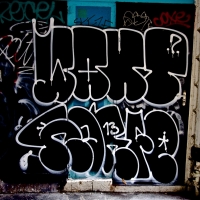 wanto_horfe_streets-of-paris_14