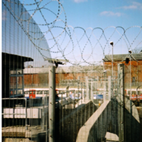 Taffy-Was-Here_Book_Spraydaily_05