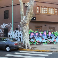Buenos Aires_Travel-repport_Graffiti_Spradaily_allyouseeiscrimeinthecity_13.jpg