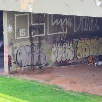 Sao-Paulo_Graffiti_Spraydaily_Allyouseeiscrimeinthecity_03_Skimo