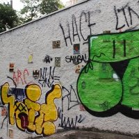 Sao-Paulo_Graffiti_Spraydaily_Allyouseeiscrimeinthecity_11