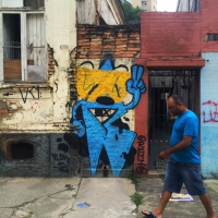 Sao-Paulo_Graffiti_Spraydaily_Allyouseeiscrimeinthecity_25_Remio