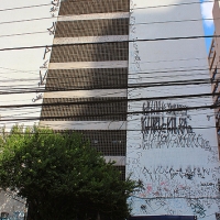Sao-Paulo_Pixaçao_Travel-repport_Graffiti_Spradaily_allyouseeiscrimeinthecity_10.jpg