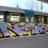 Nsr