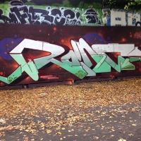 Wednesday Graffiti Walls Spraydaily 002_ROINS Photo @astrocapcph
